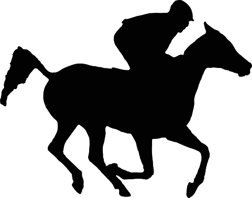 Horse Arabian Black Transparent PNG Image