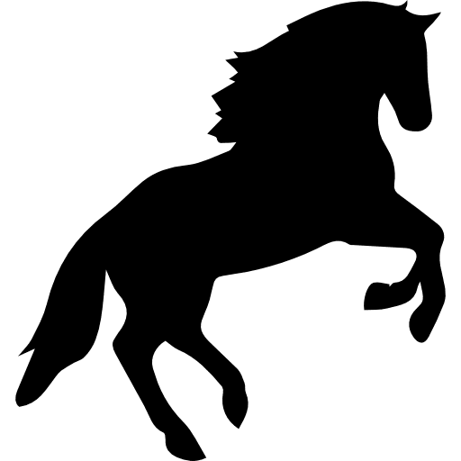 Horse Arabian Black Transparent PNG Image