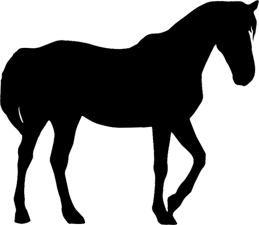 Horse Arabian Black Transparent PNG Image