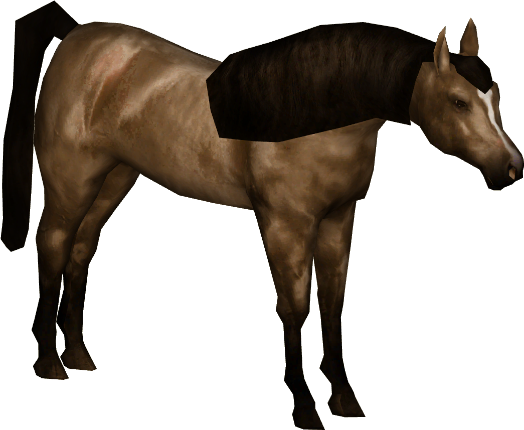 Brown Horse Arabian Transparent PNG Image