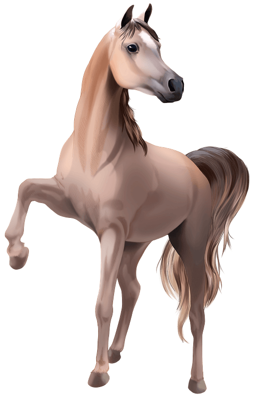 Brown Horse Arabian Transparent PNG Image