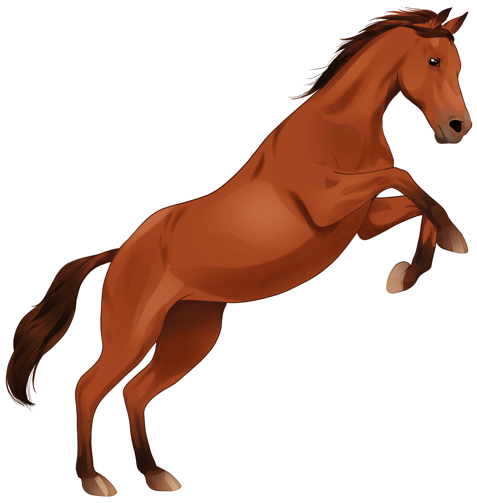 Brown Horse Arabian Transparent PNG Image