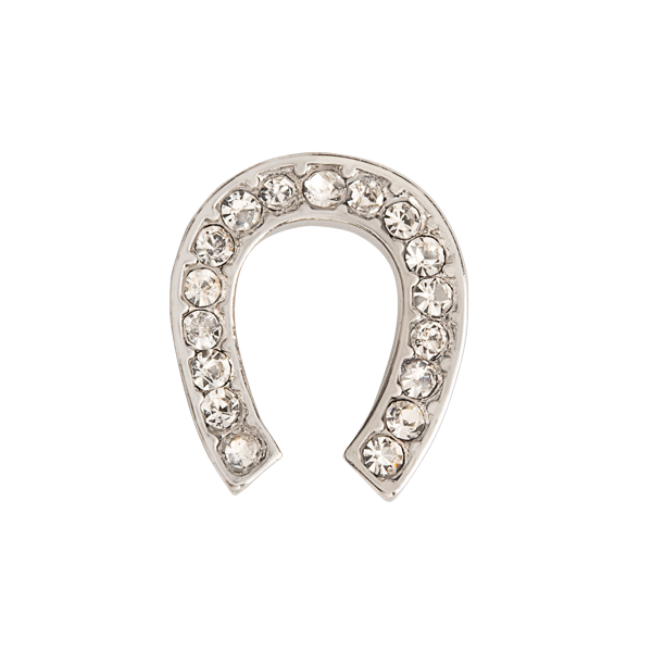 Horseshoe Pendant Silver Transparent PNG Image