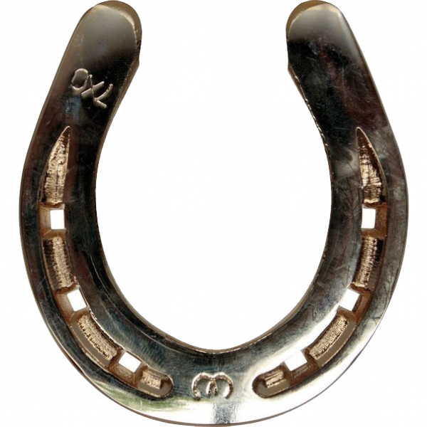 Silver Horseshoe Transparent PNG Image