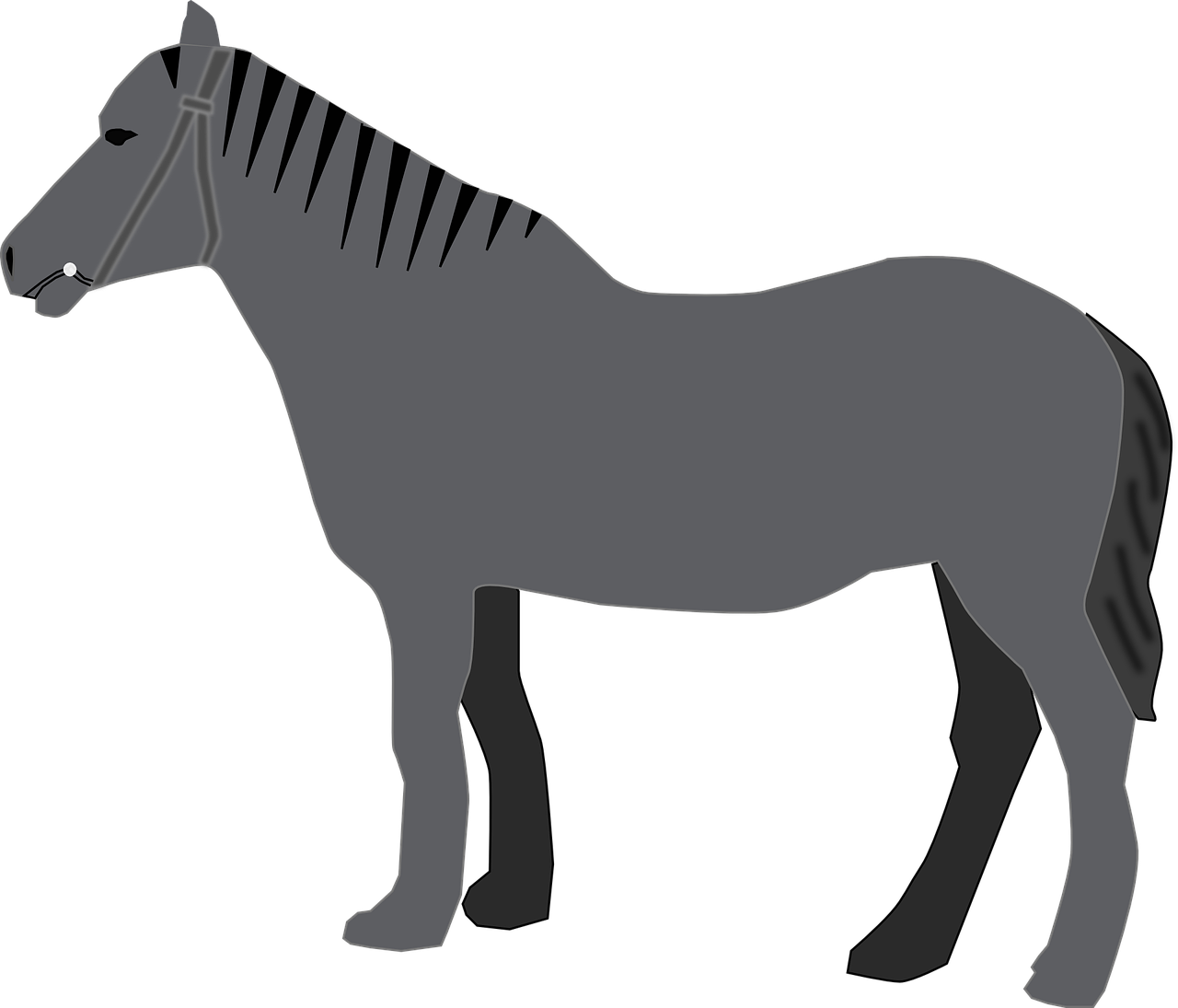 Arabian Horse Vector Transparent PNG Image