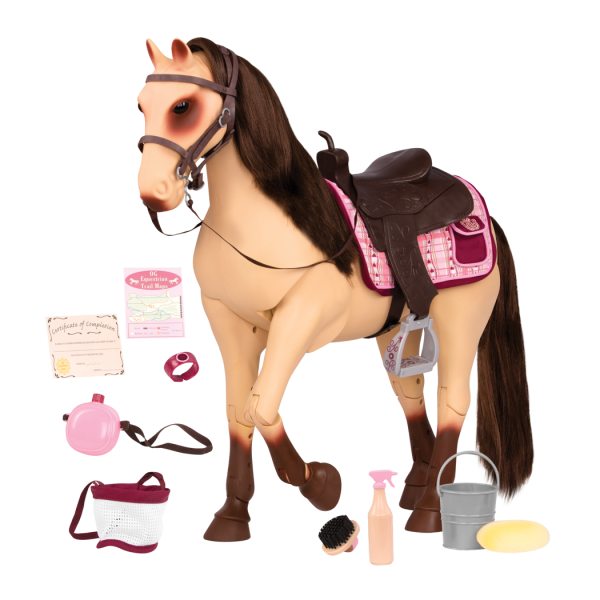 Farm Horse Morgan Transparent PNG Image
