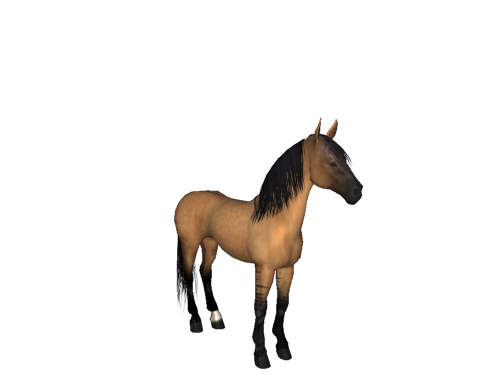 Farm Horse Morgan Transparent PNG Image
