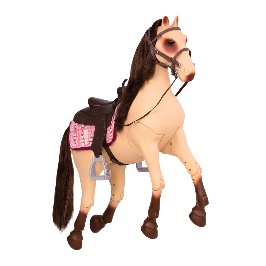 Horse Morgan Transparent PNG Image