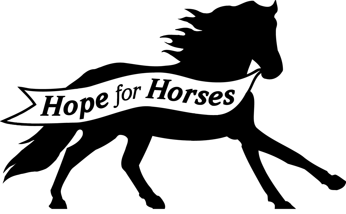 Horse Morgan File Transparent PNG Image