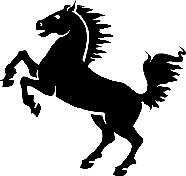 Horse Morgan Transparent PNG Image