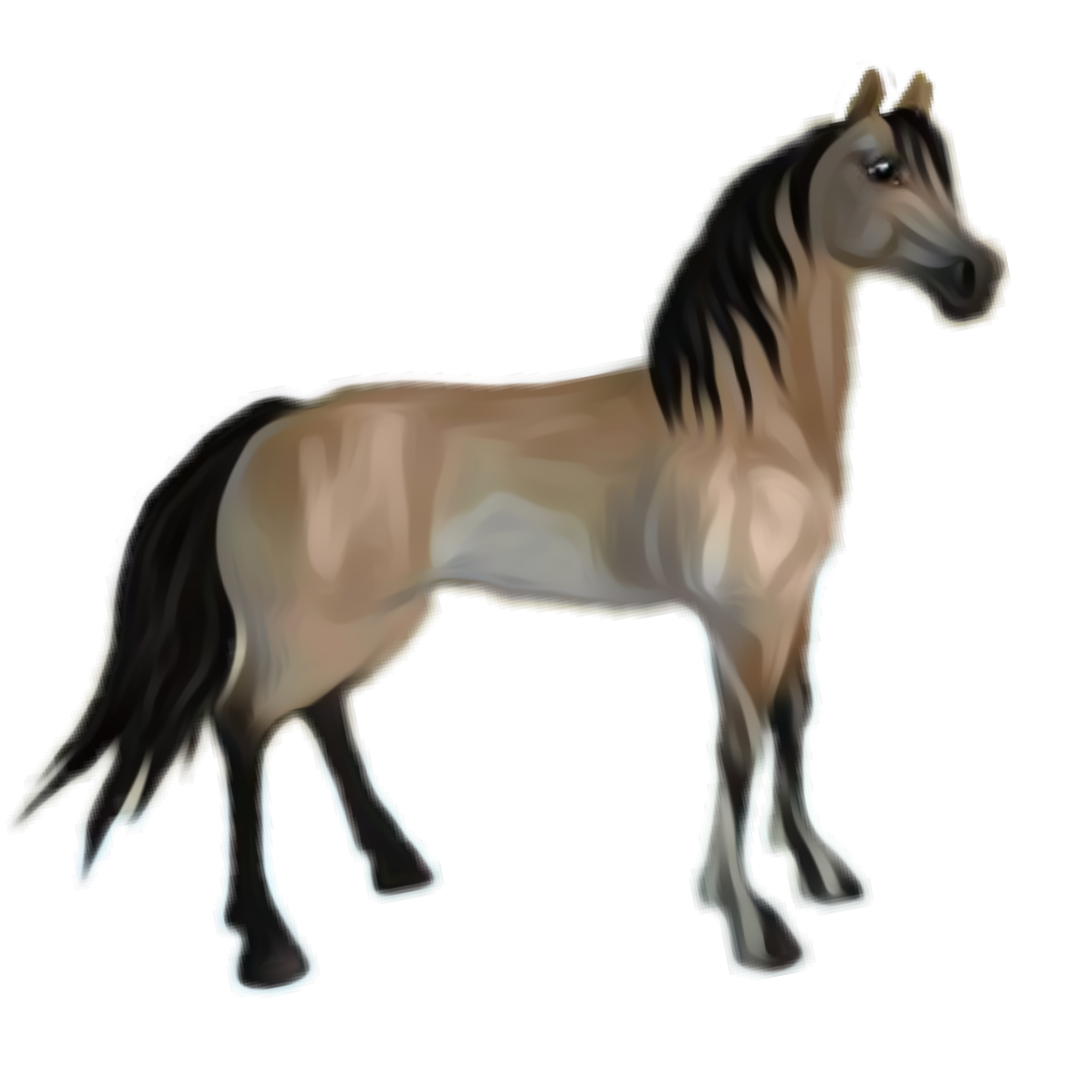 Horse Morgan Transparent PNG Image