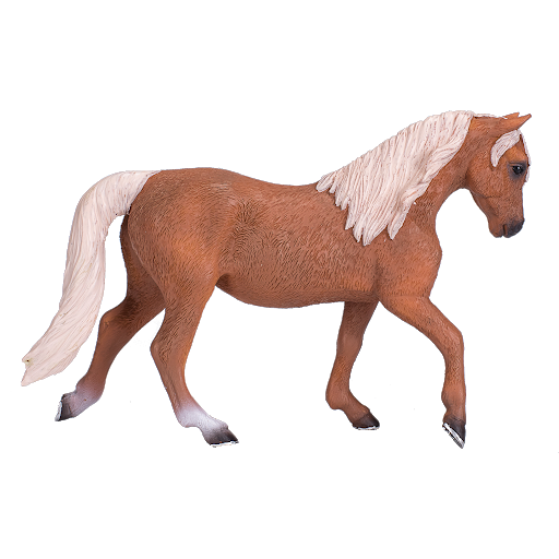 Running Horse Morgan File Transparent PNG Image