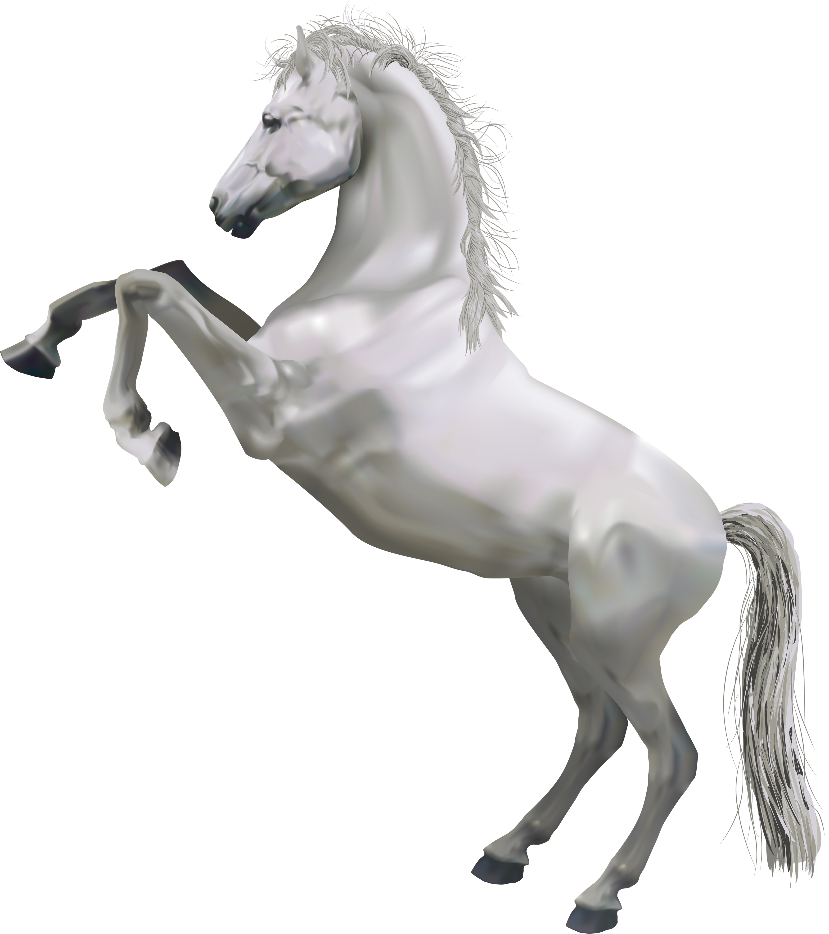Running Horse Morgan Transparent PNG Image