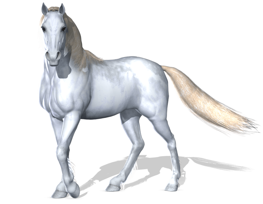 Horse Transparent PNG Image