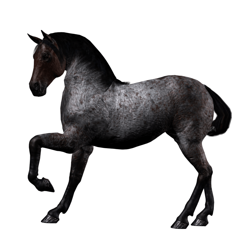 Horse Transparent PNG Image