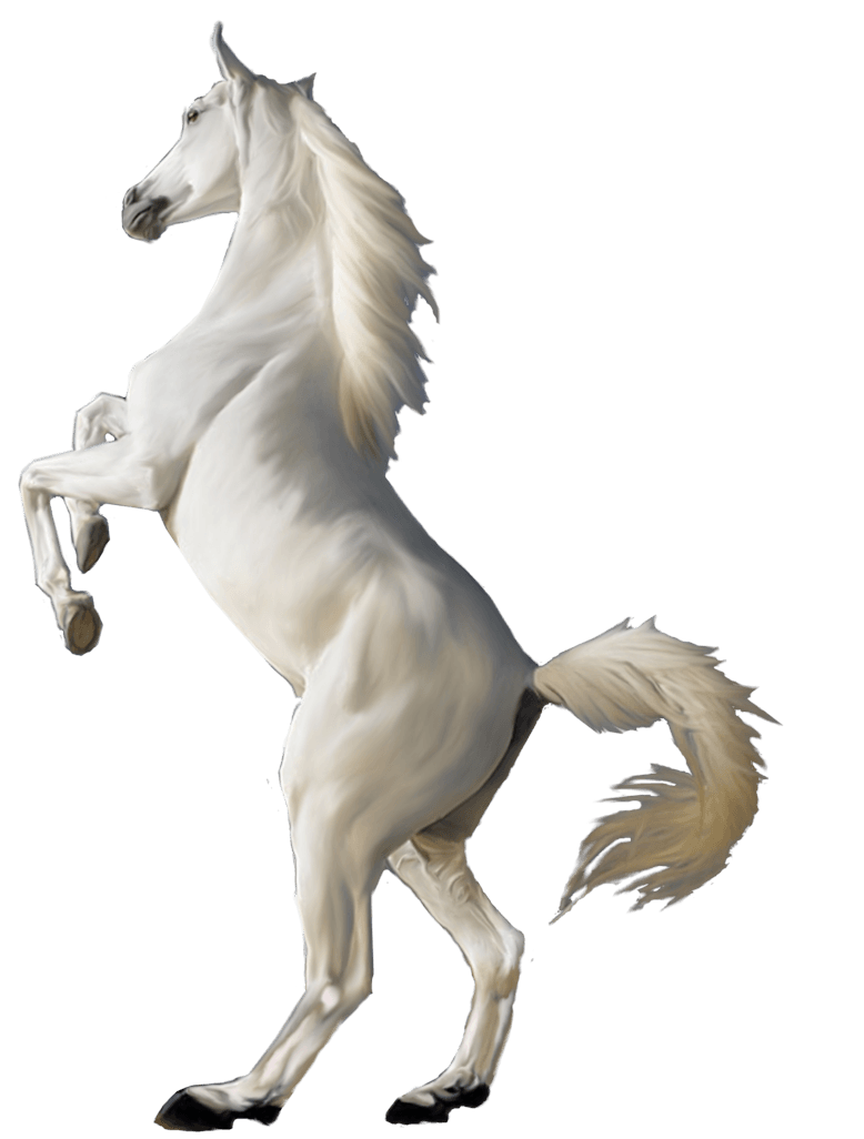White Horse Transparent PNG Image