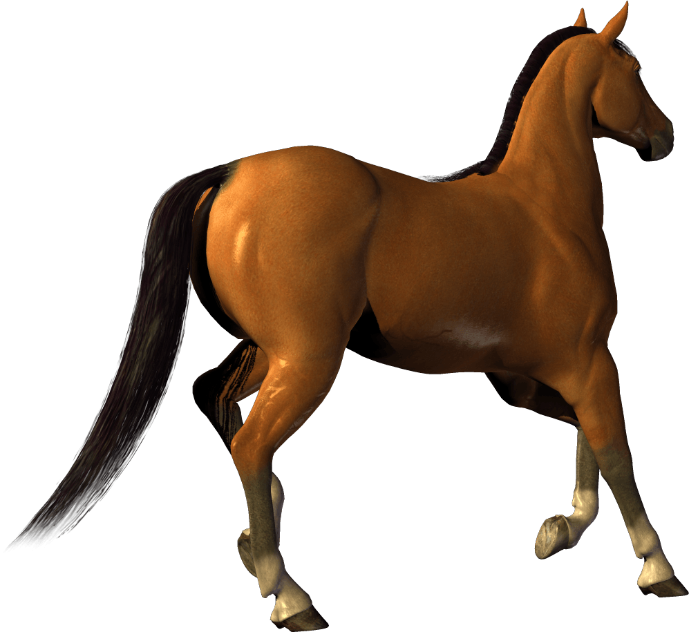 Horse Background Transparent PNG Image
