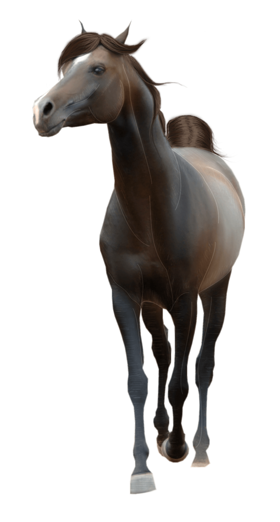 Horse Transparent PNG Image