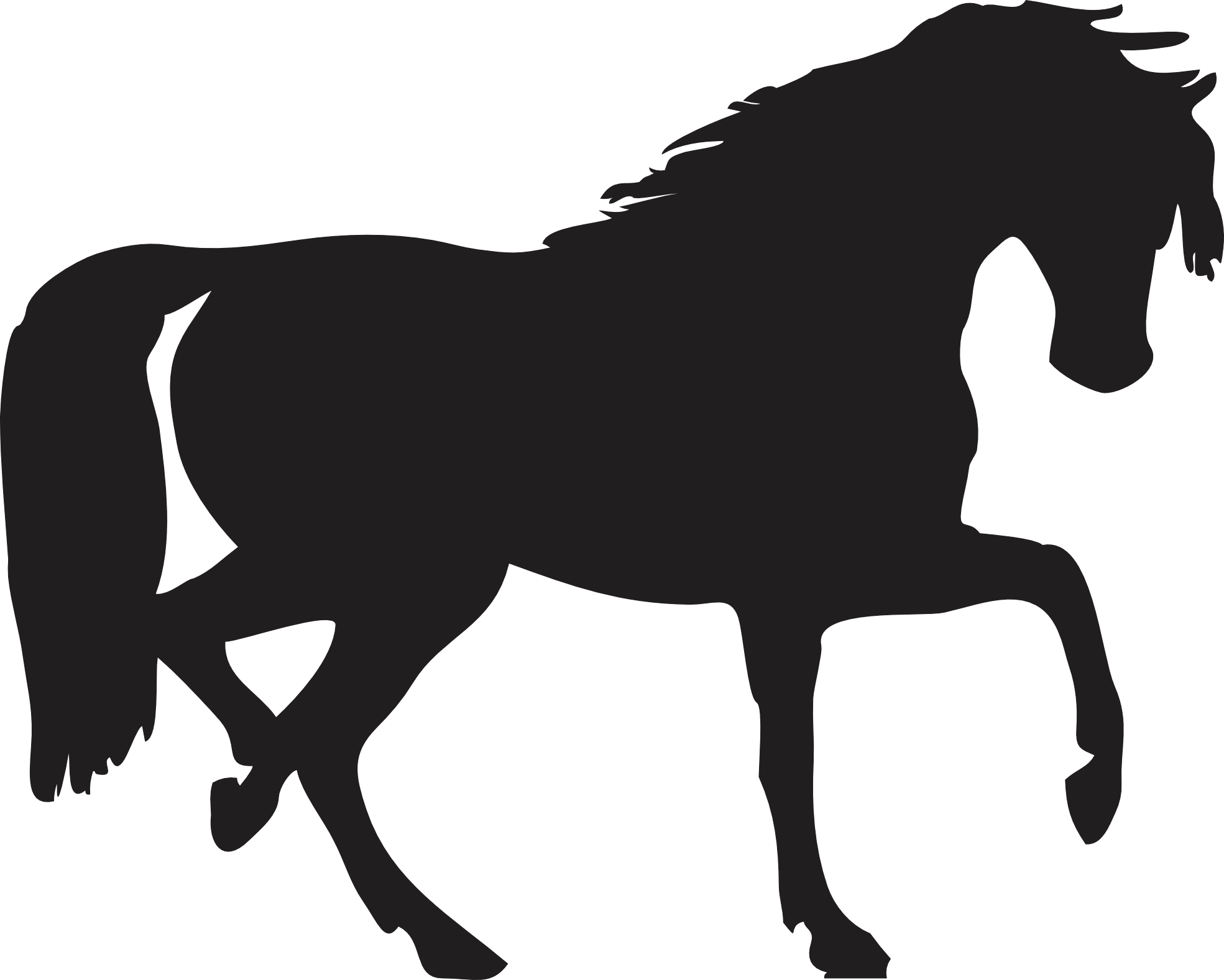 Black Horse Siluete Transparent PNG Image