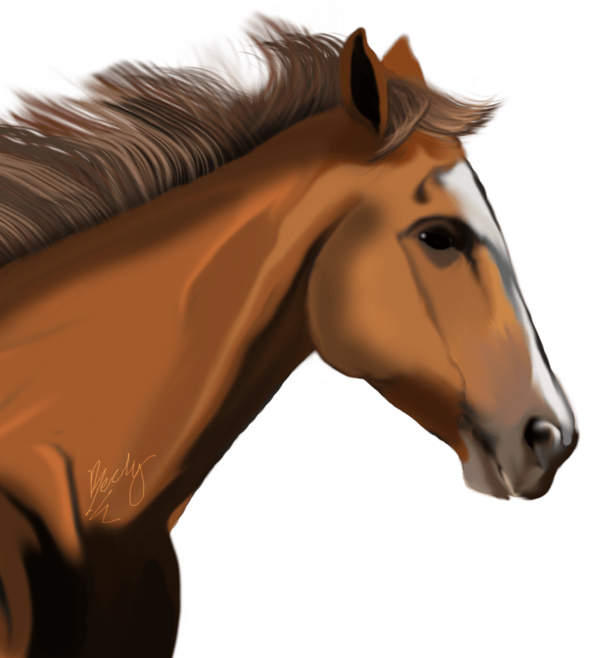 Horse Background Transparent PNG Image