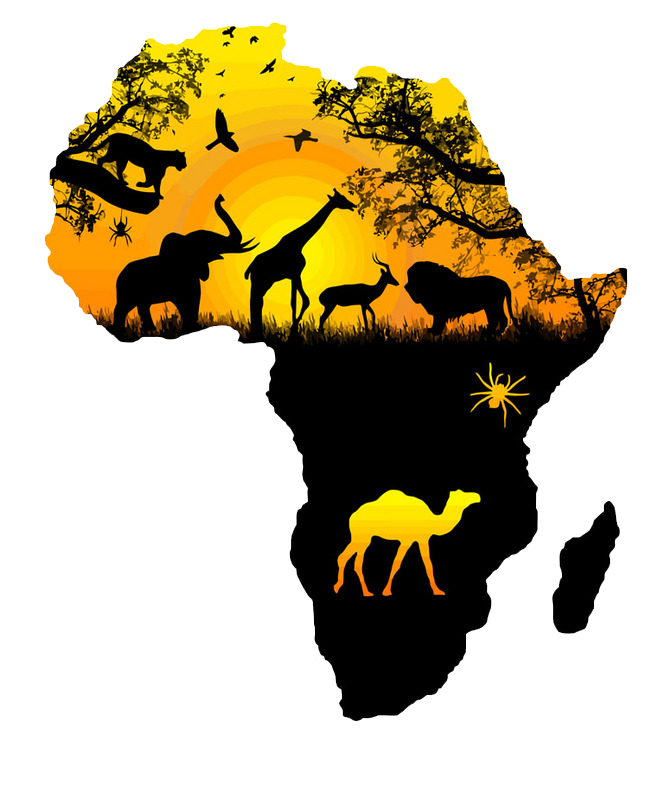 Wall Carnivoran Decal Africa Yellow Transparent PNG Image