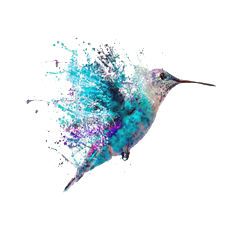 Hummingbird Tattoos Transparent PNG Image
