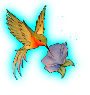 Hummingbird Tattoos Transparent PNG Image