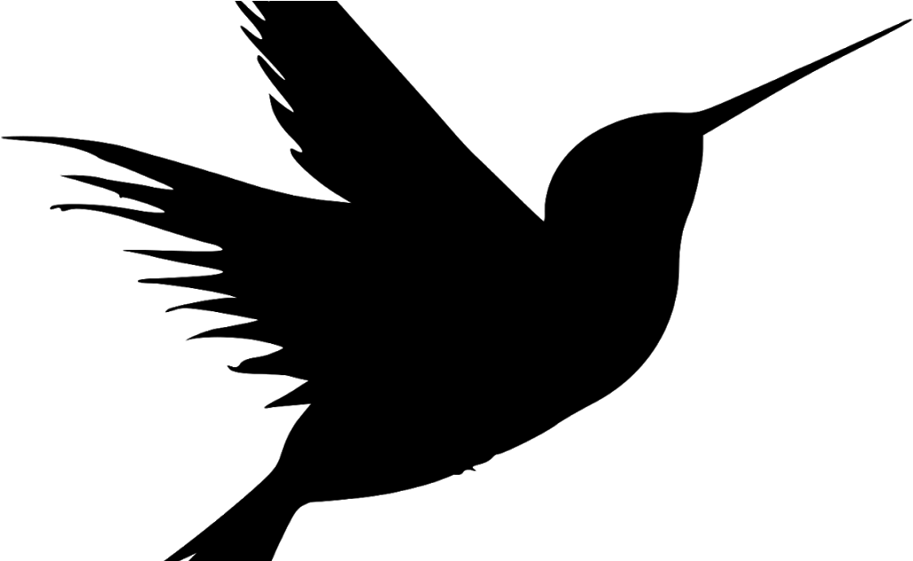 Flying Black Hummingbird Transparent PNG Image