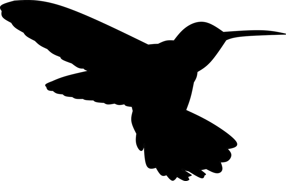 Silhouette Black Hummingbird Transparent PNG Image