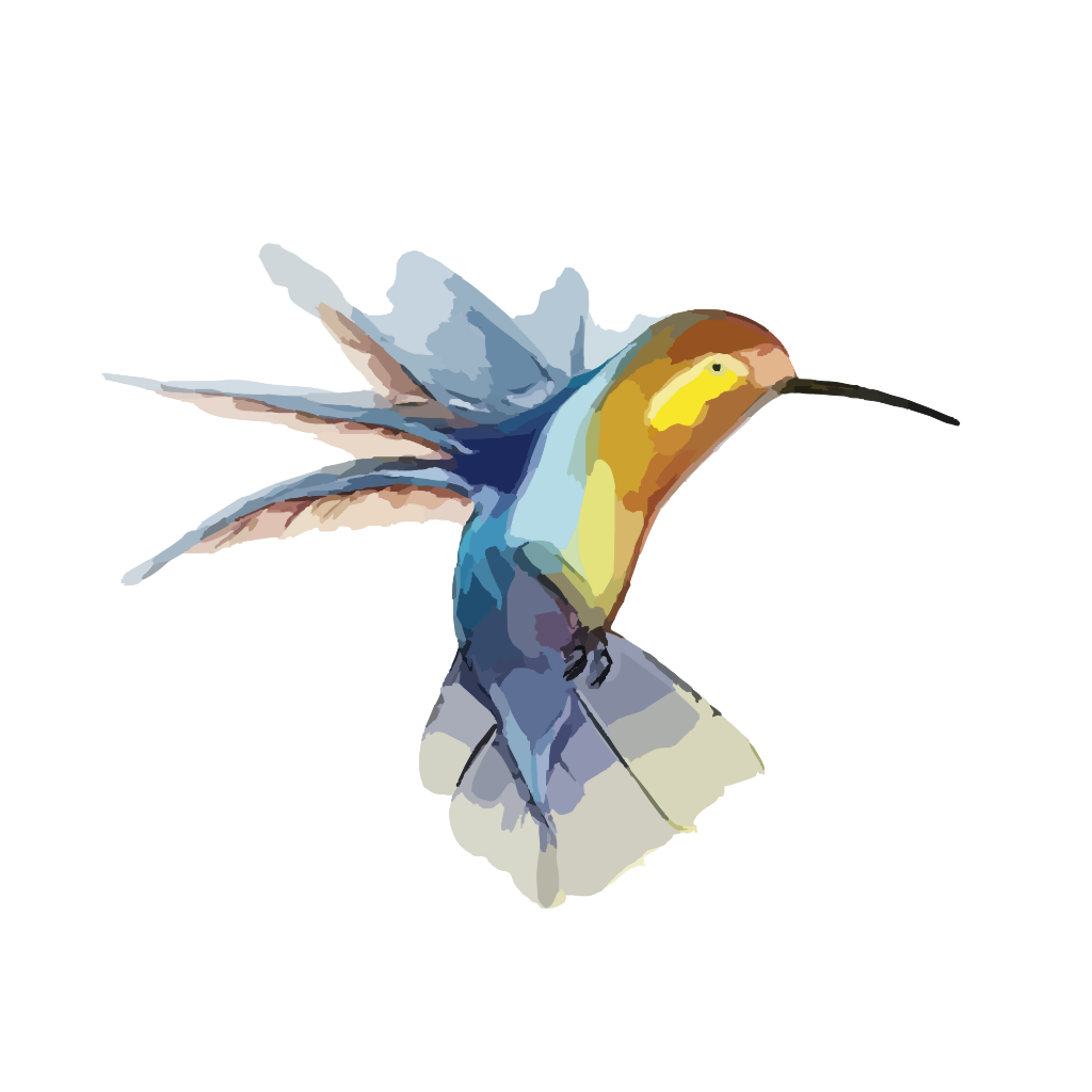 Flying Colorful Hummingbird Transparent PNG Image