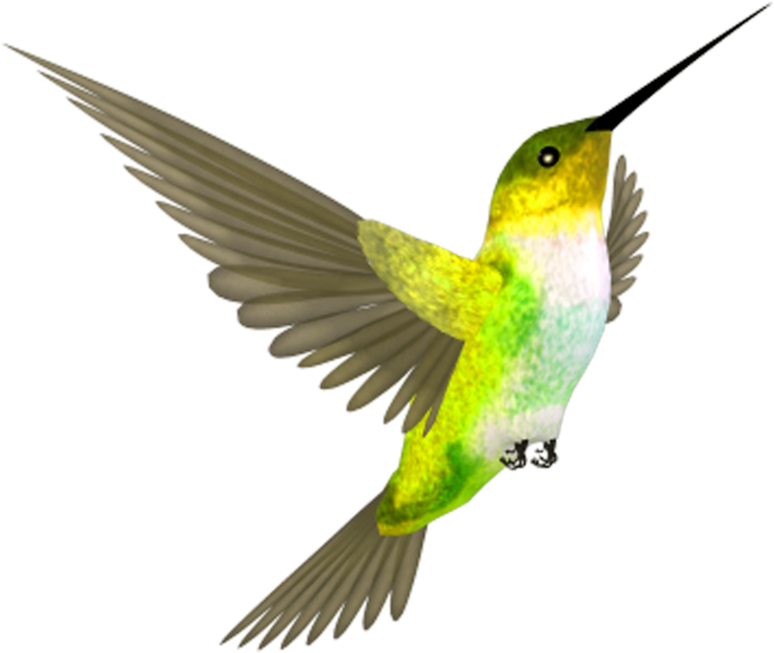 Flying Colorful Hummingbird Transparent PNG Image