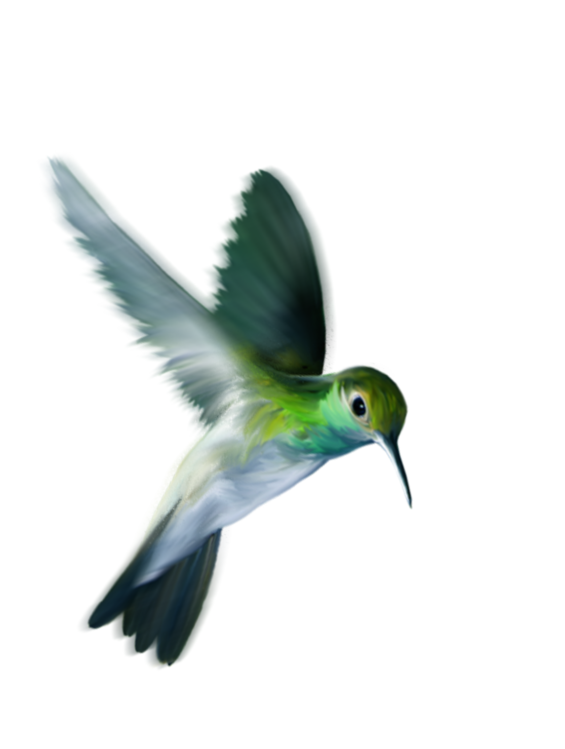 Flying Colorful Hummingbird Transparent PNG Image