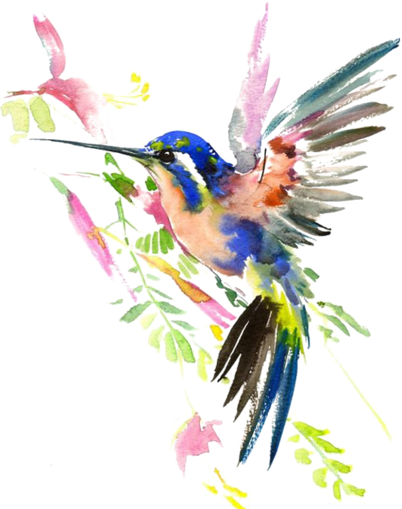 Watercolor Flower Hummingbird Transparent PNG Image