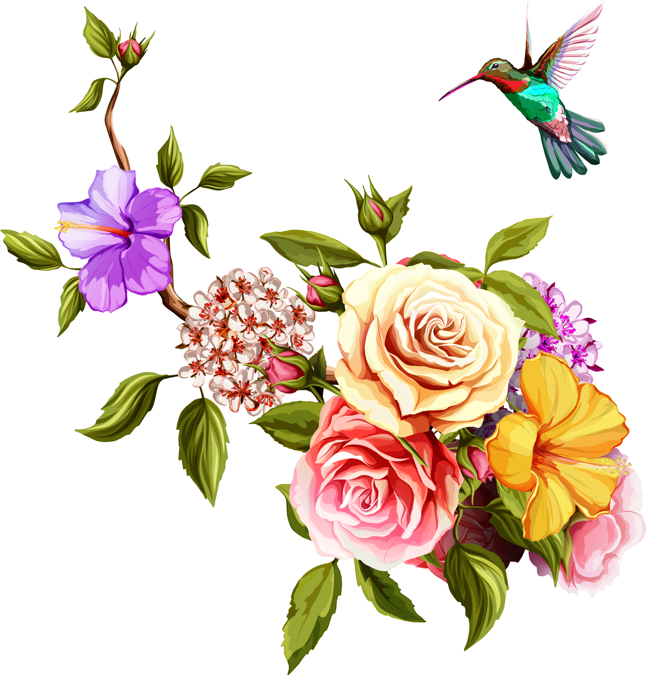 Watercolor Flower Hummingbird Transparent PNG Image