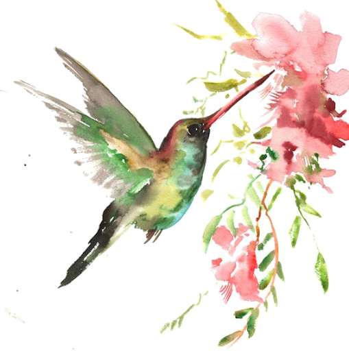 Watercolor Flower Hummingbird Transparent PNG Image