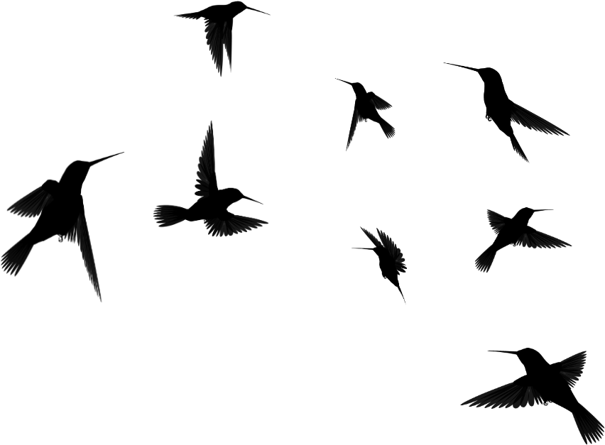 Flying Silhouette Hummingbird Transparent PNG Image