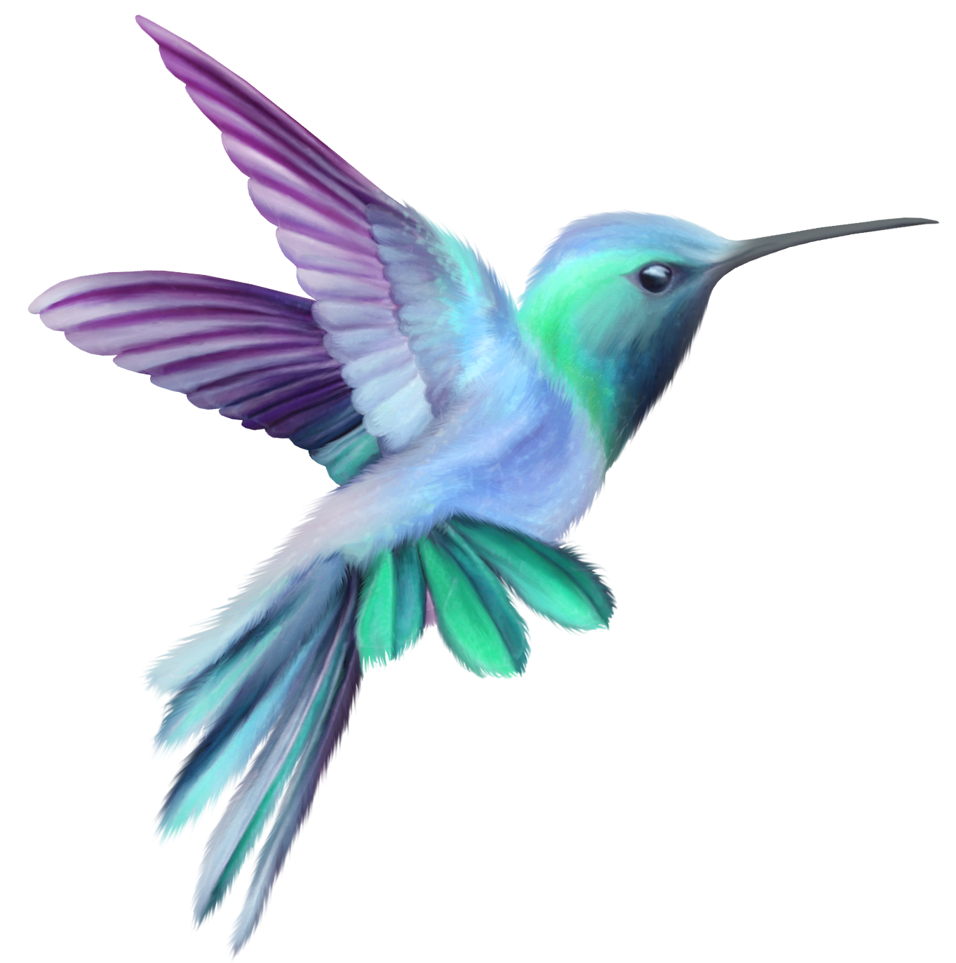 Watercolor Flying Hummingbird Transparent PNG Image