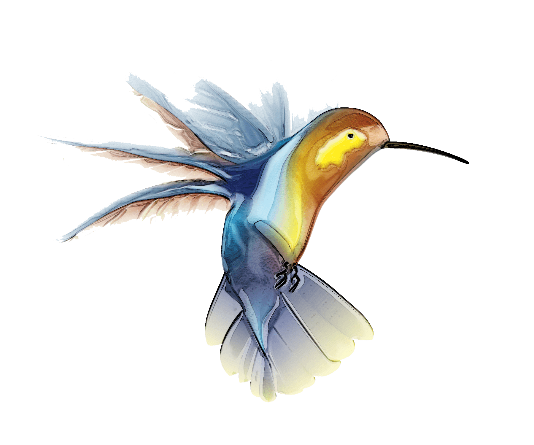 Watercolor Flying Hummingbird Transparent PNG Image
