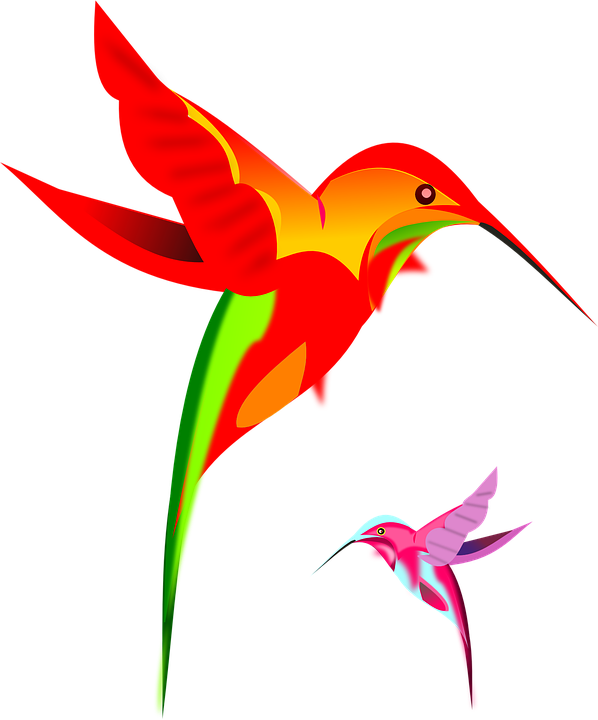 Silhouette Hummingbird Transparent PNG Image