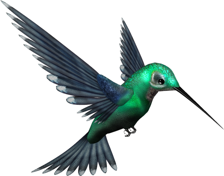 Turquoise Flying Hummingbird Transparent PNG Image