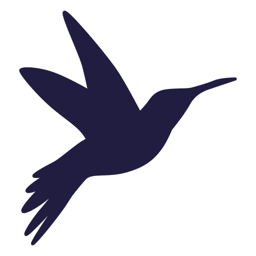 Flying Vector Hummingbird Transparent PNG Image