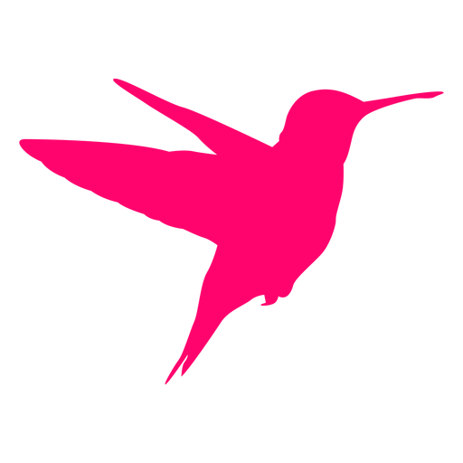 Flying Vector Hummingbird Transparent PNG Image