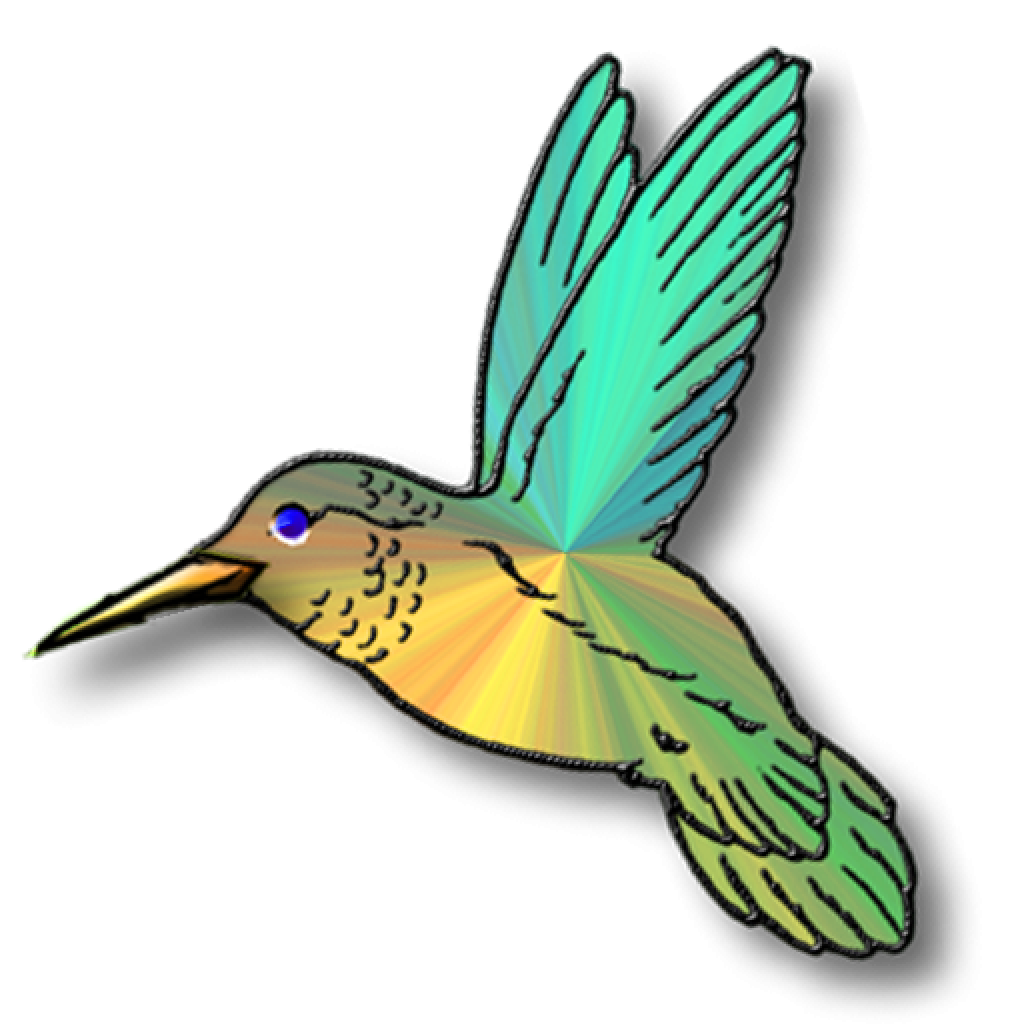 Flying Vector Hummingbird Transparent PNG Image