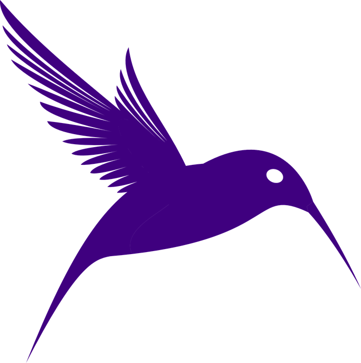 Watercolor Vector Hummingbird Transparent PNG Image