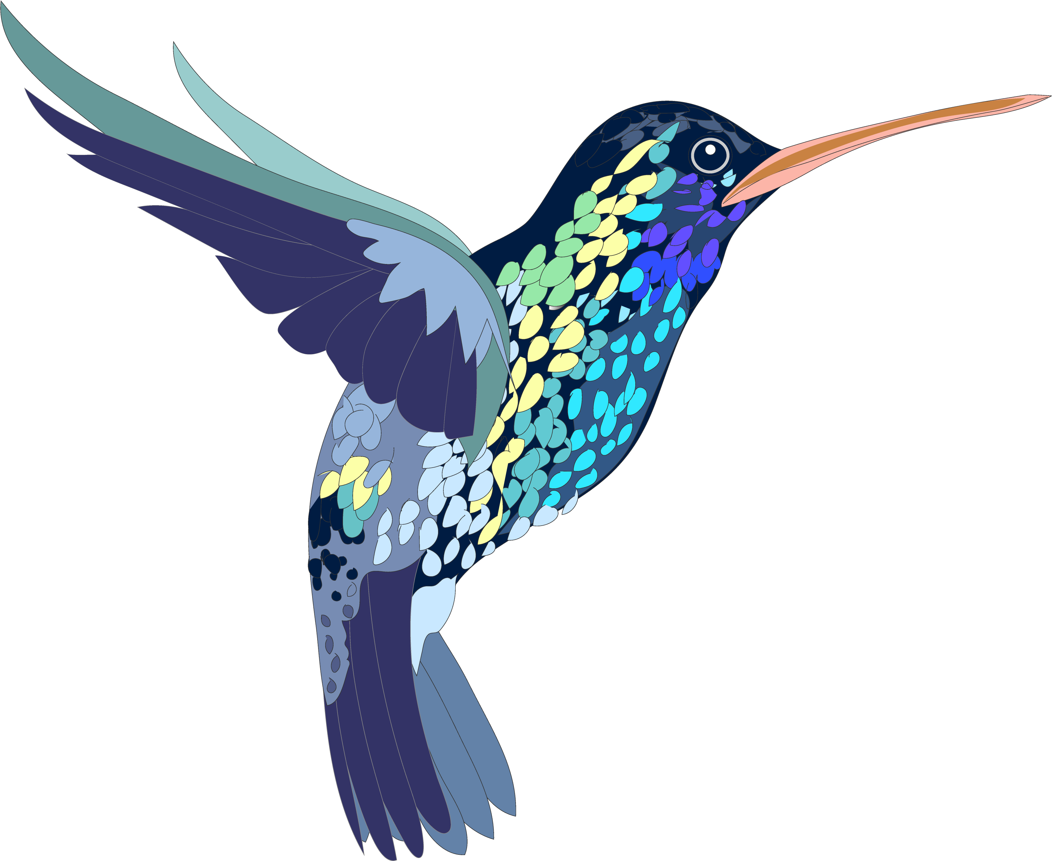 Watercolor Vector Hummingbird Transparent PNG Image