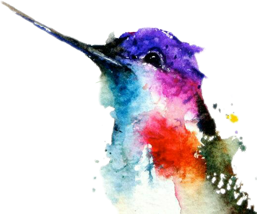 Watercolor Hummingbird Transparent PNG Image