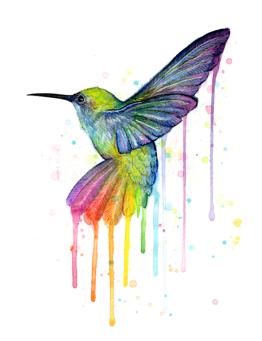 Watercolor Hummingbird Transparent PNG Image