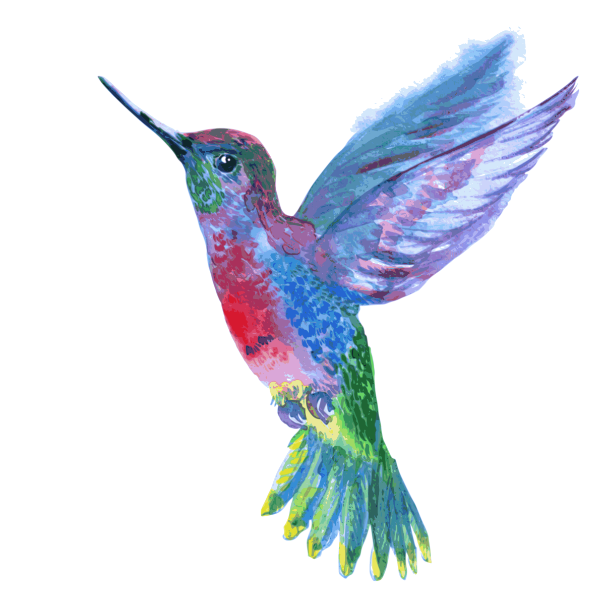 Watercolor Hummingbird Transparent PNG Image