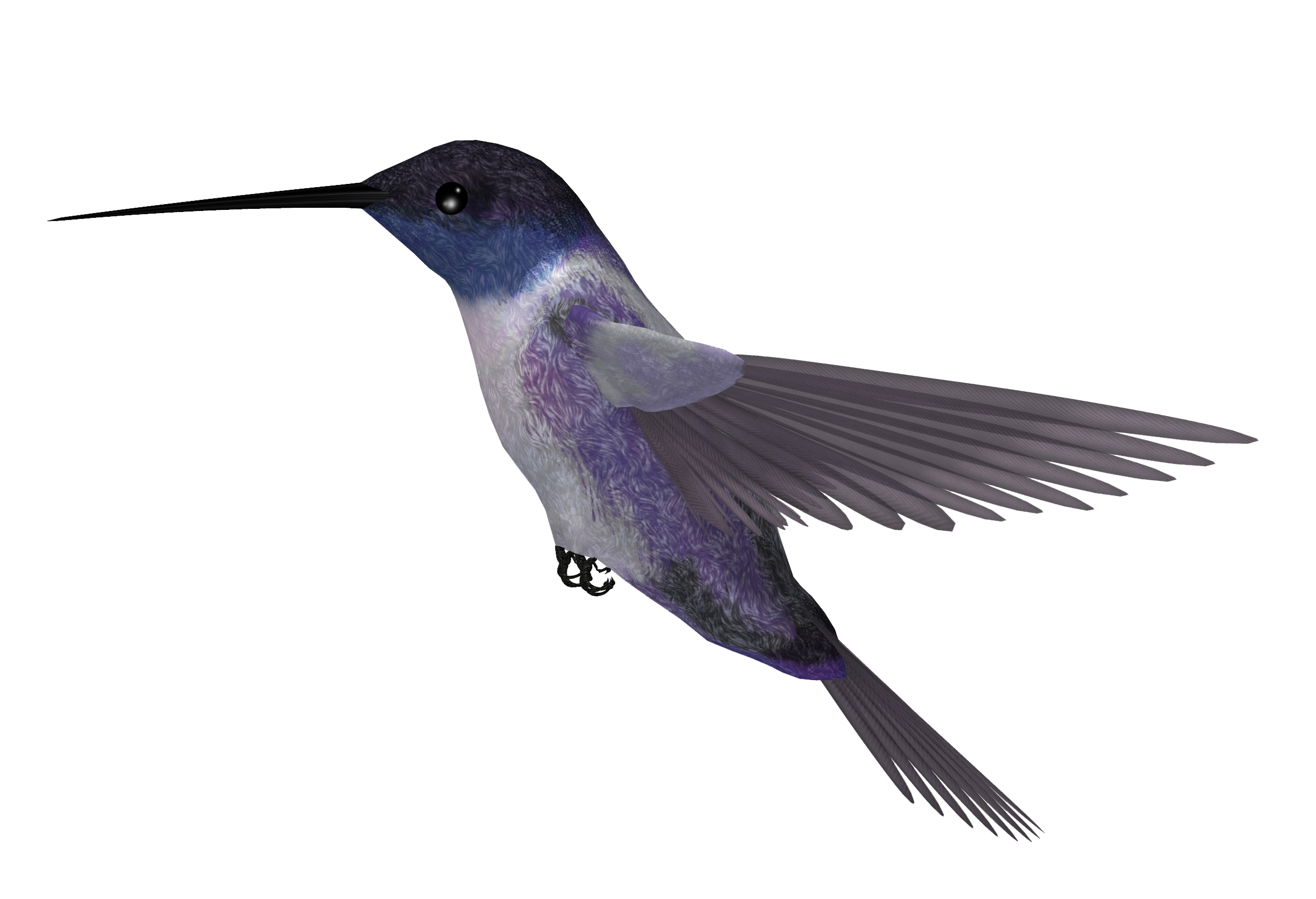 Hummingbird Transparent PNG Image