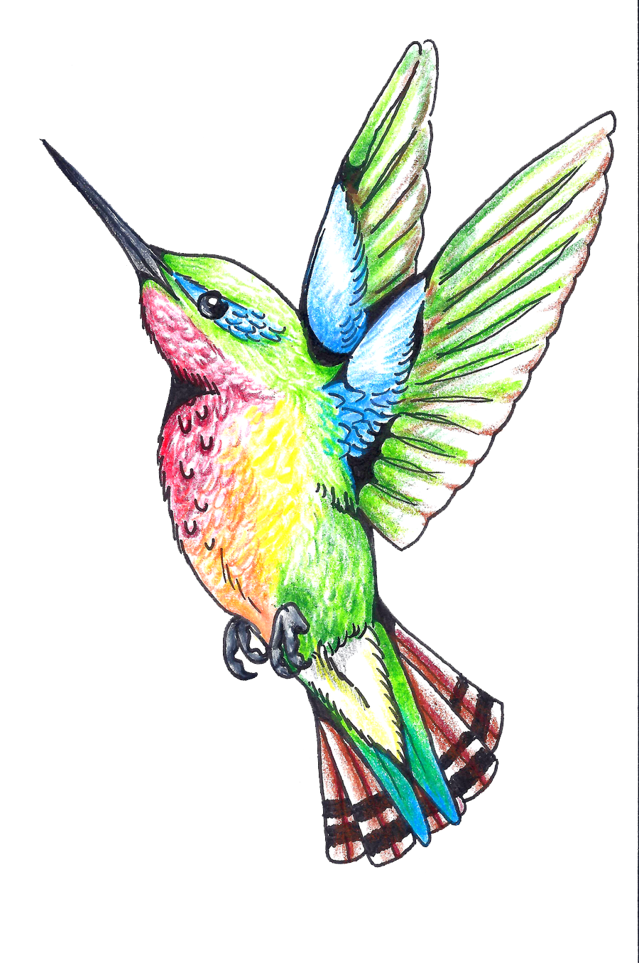 Hummingbird Tattoos Transparent PNG Image